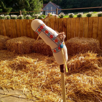 Pferdespiele Familienfeier Hochzeit